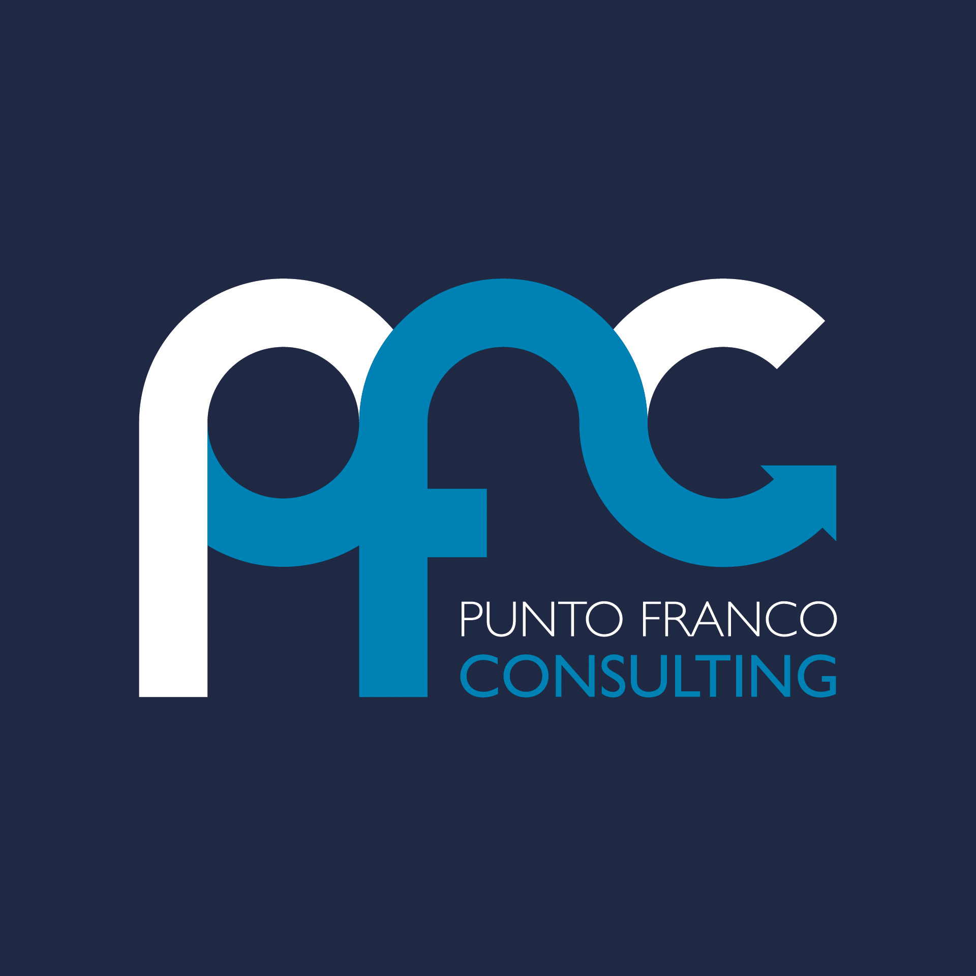 Diseño de Identidad Visual y Logotipo para la marca Punto Franco Consulting
