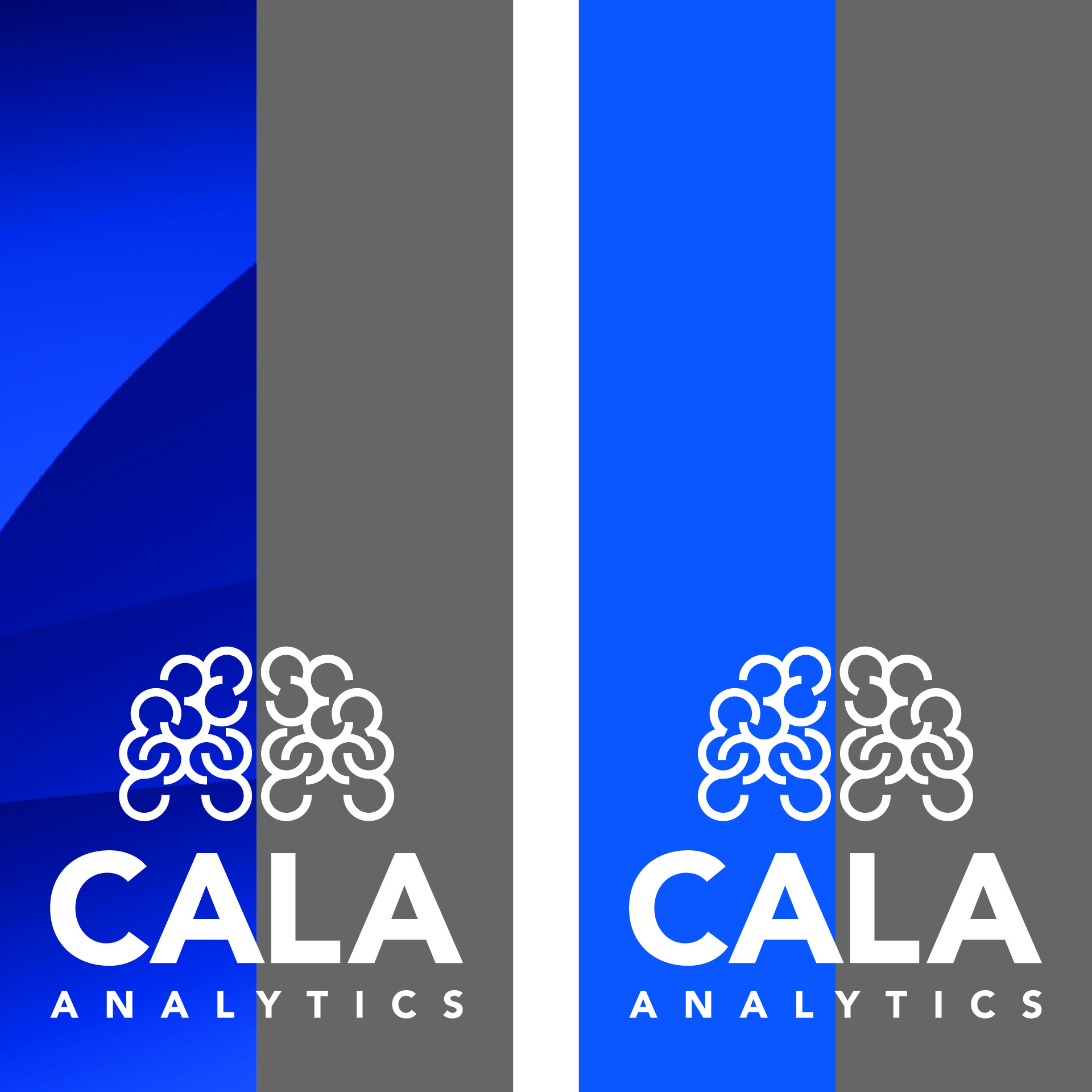 Diseño de Identidad Visual y Logotipo para la marca Cala Analytics