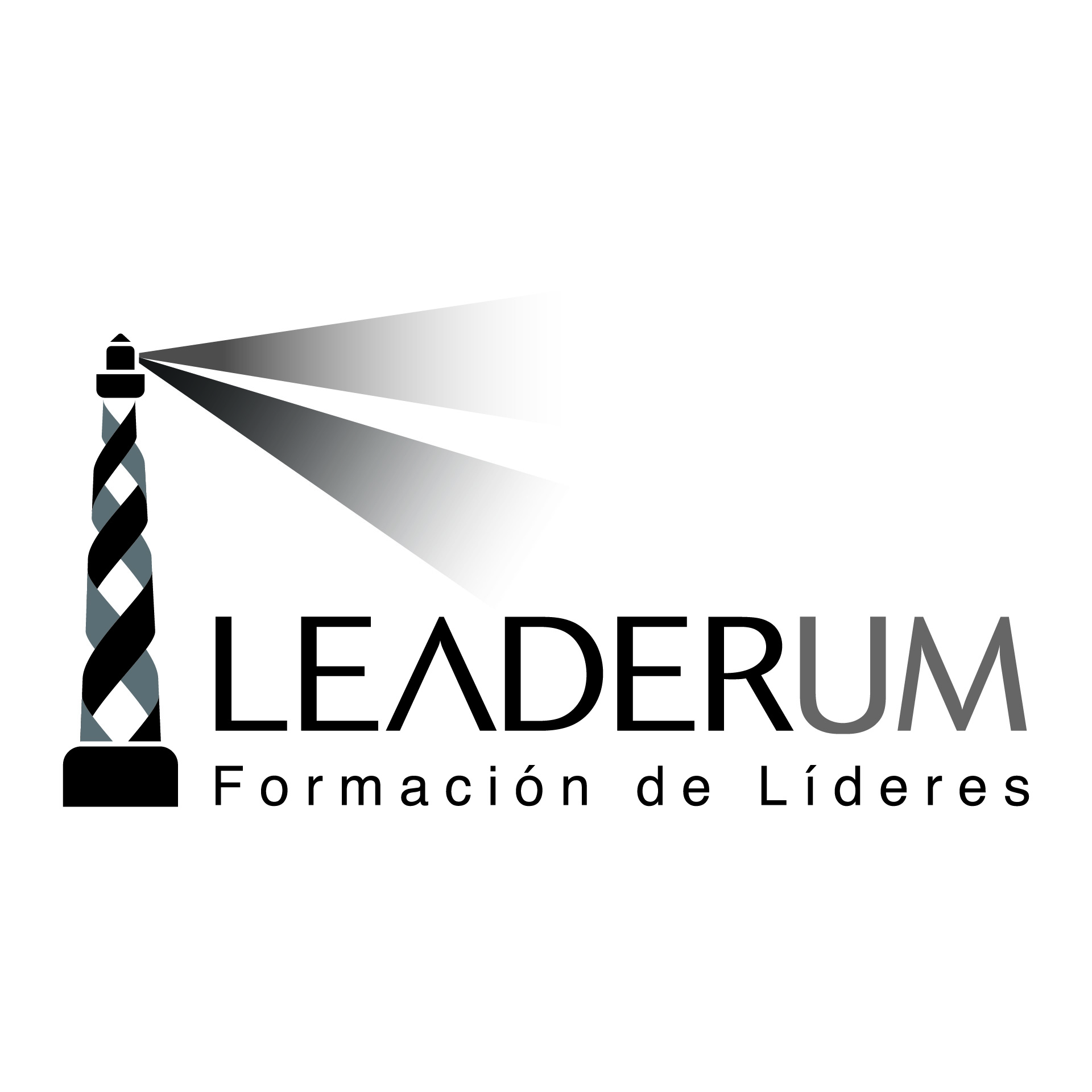 Diseño de Identidad Visual y Logotipo para la marca Leaderum